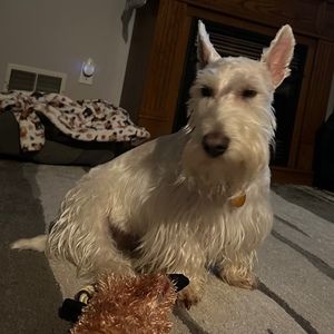 Meet your Posher, Mark